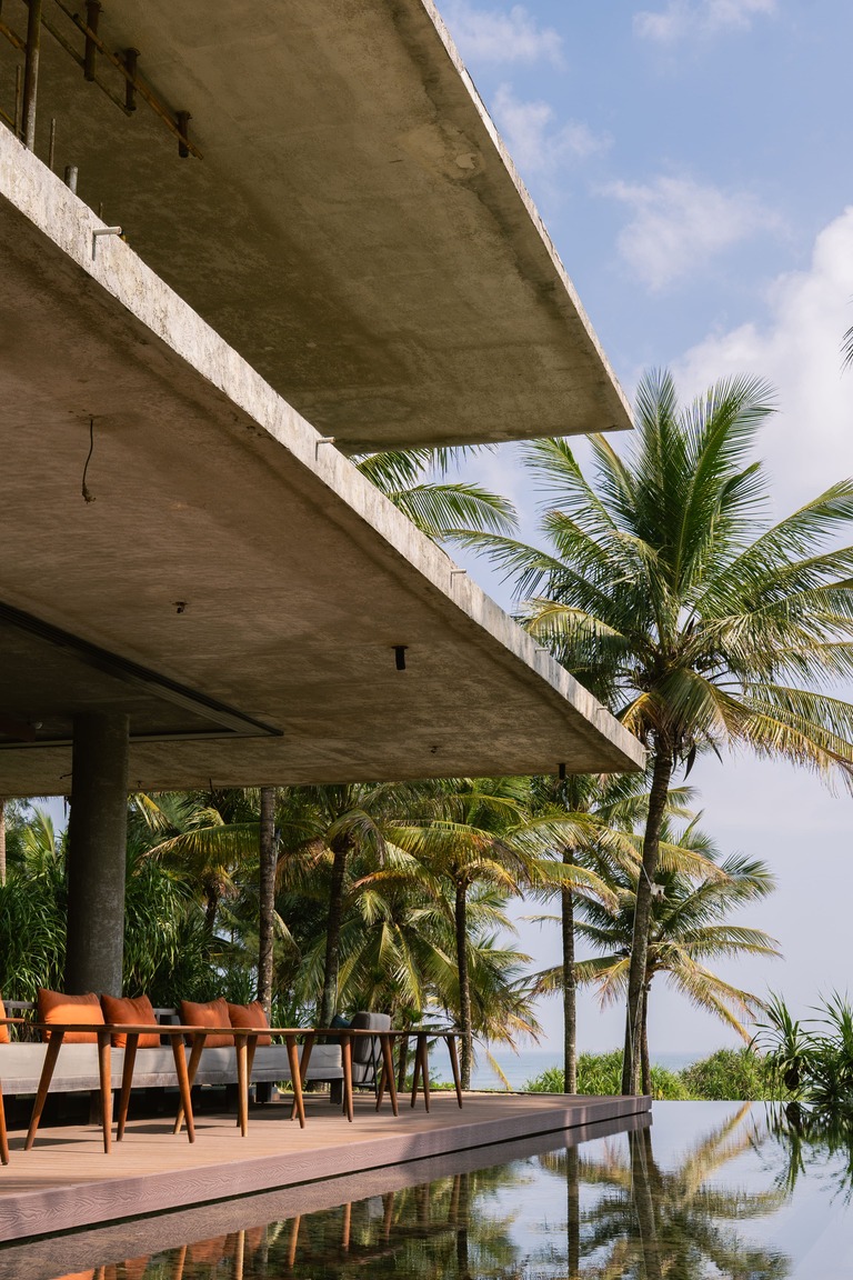 Blush Story - Golden hour