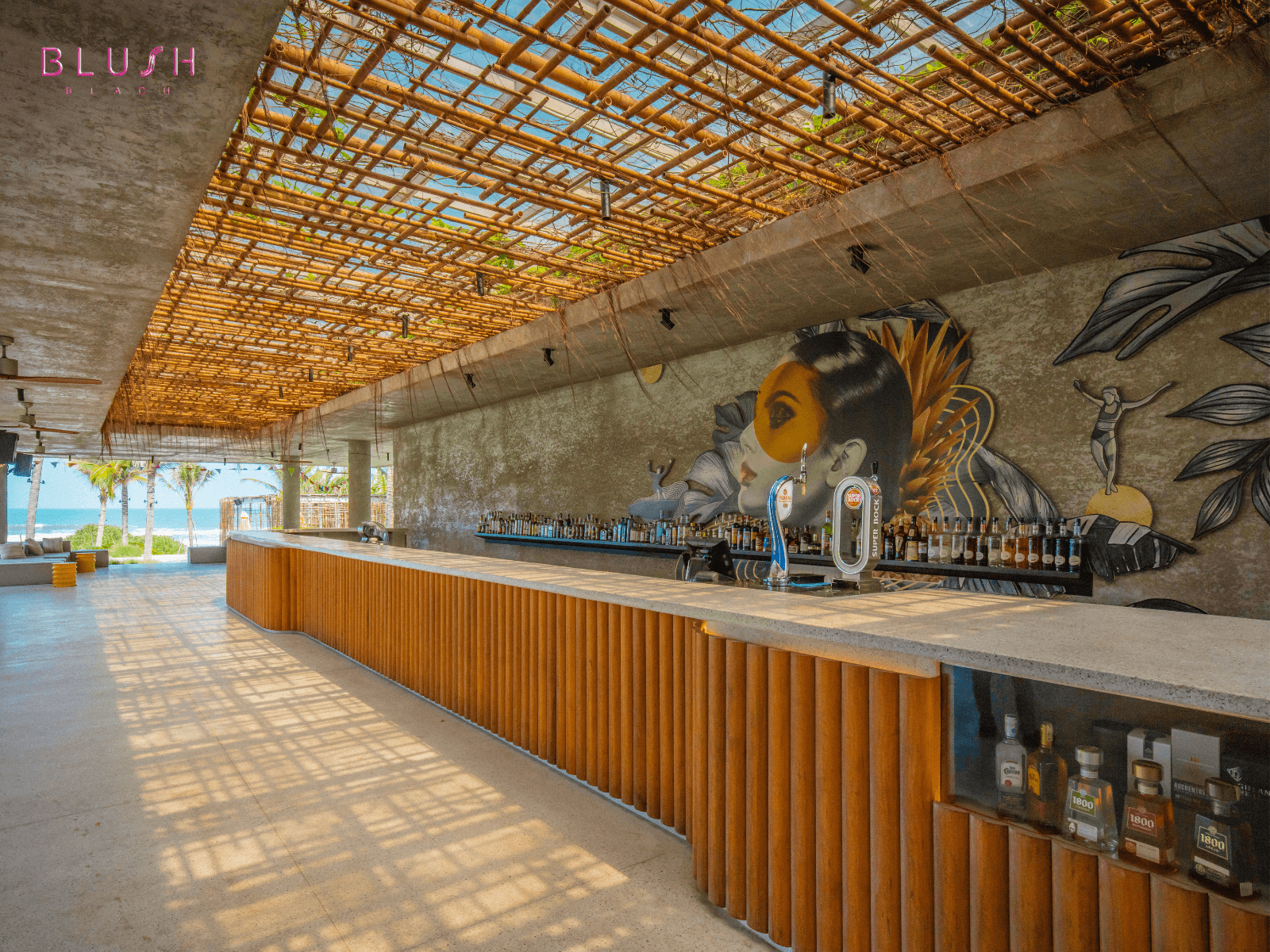 Beach club là gì? Trải nghiệm khác biệt tại Blush Beach Club