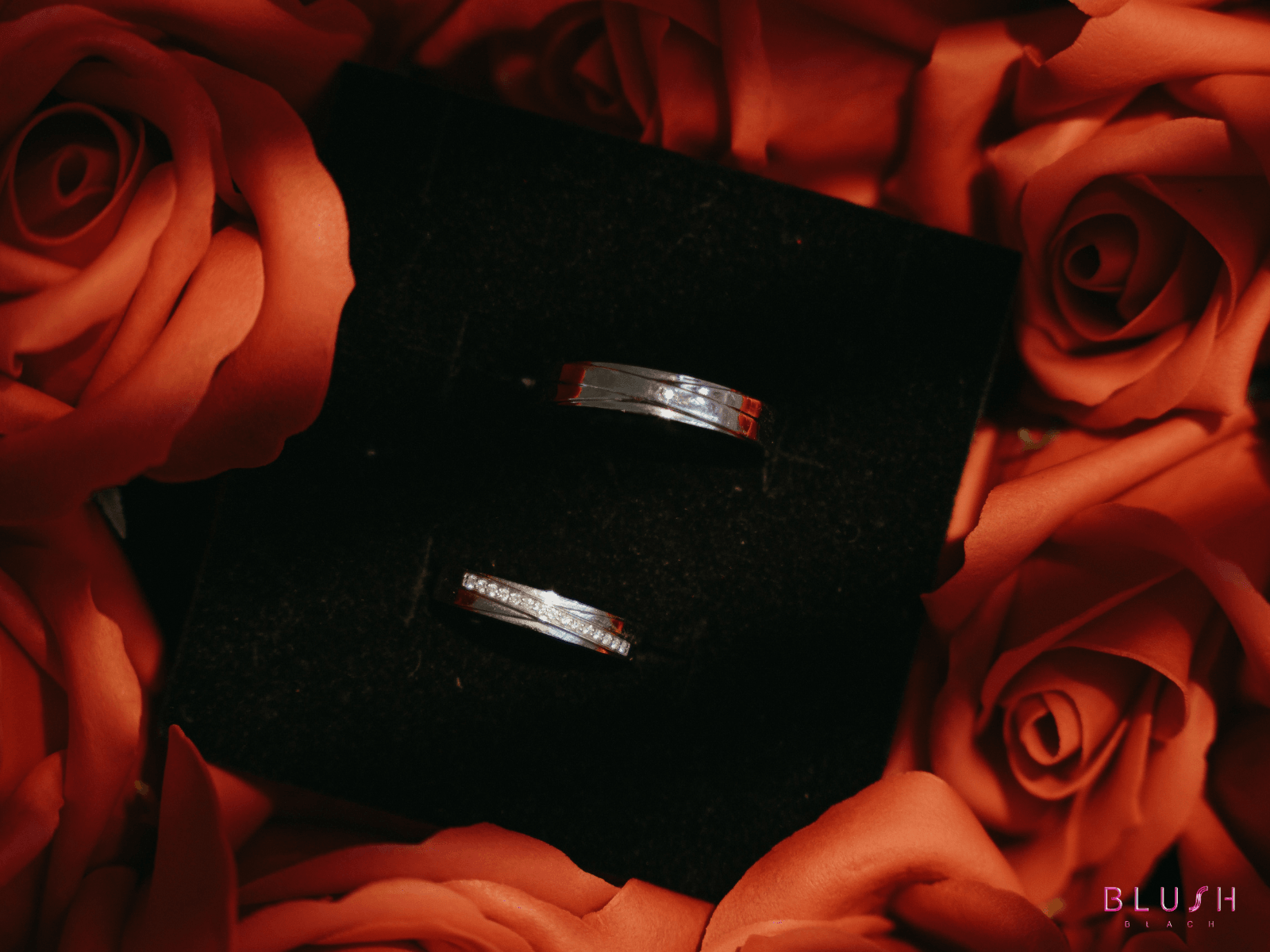 Blush wedding - One venue, full service, endless moments